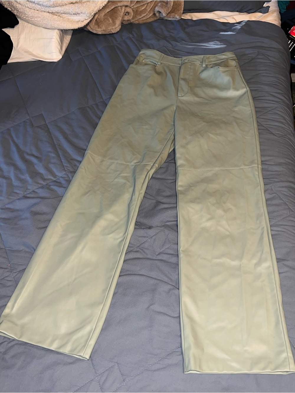 Zara Light Sage Green Straight-Leg Leather Pants